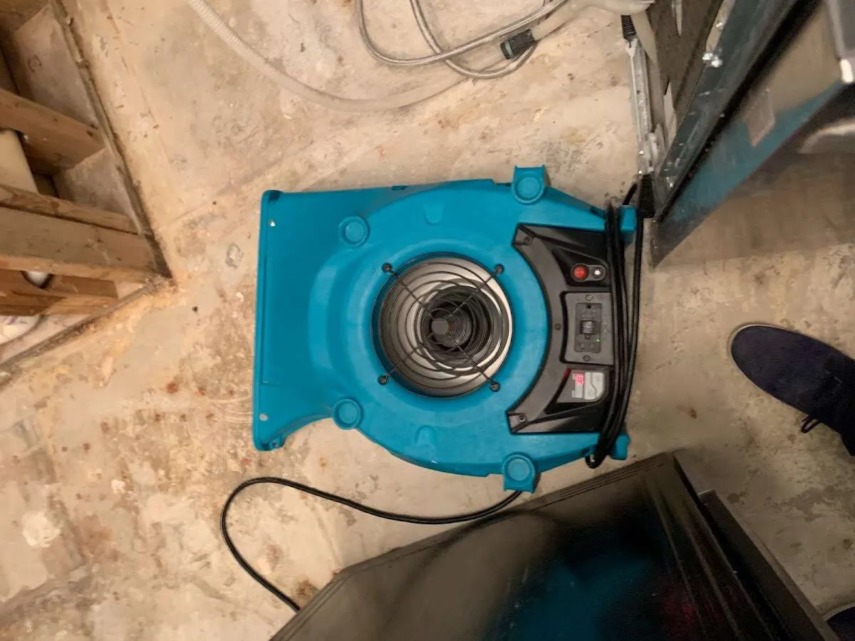 Air mover drying equipment for Mold Remediation & Removal in North Salt Lake